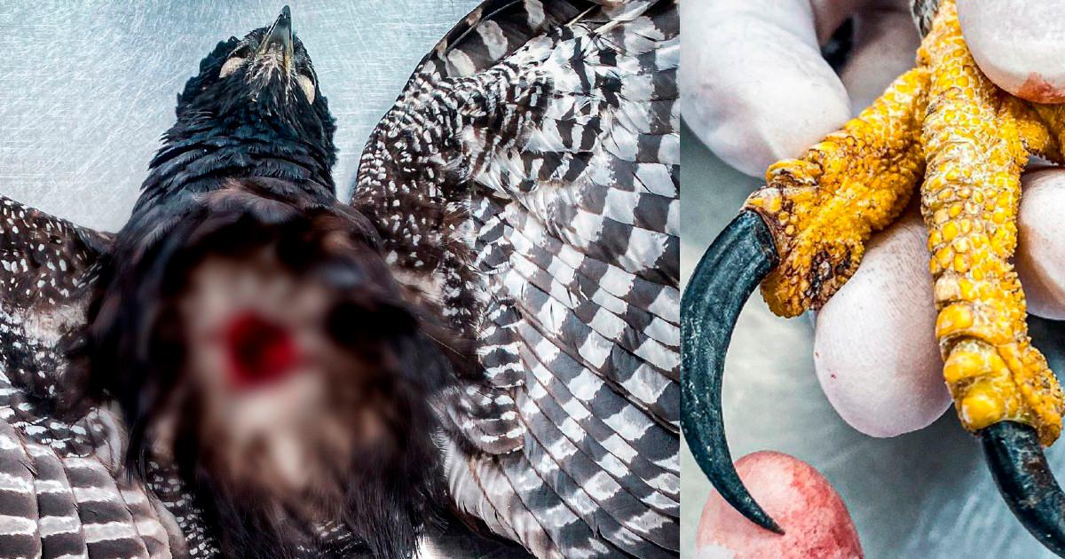 /FOTO: CORTESÍA ÁREA METROPOLITANA