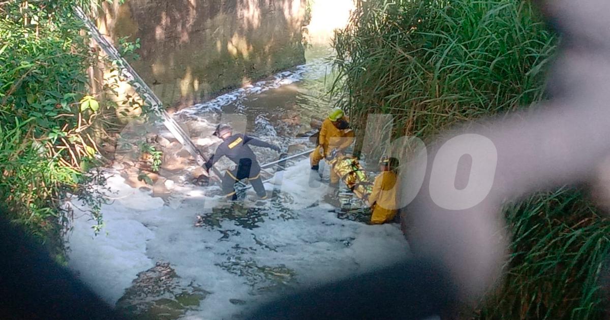 Lo rescataron en medio del agua. <b><span class=mln_small-caps_mln>/FOTO: Q’HUBO</span></b>