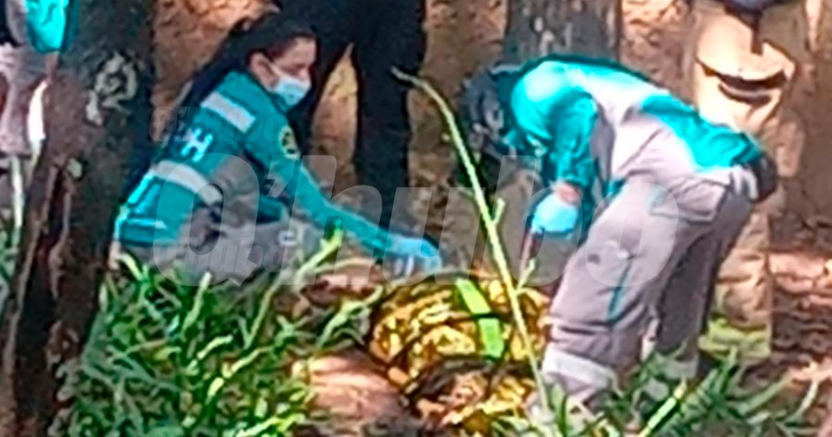 Tras estar ya en tierra, personal médico le prestó los primeros auxilios al hombre. <b><span class=mln_small-caps_mln>/FOTO: Q’HUBO</span></b>