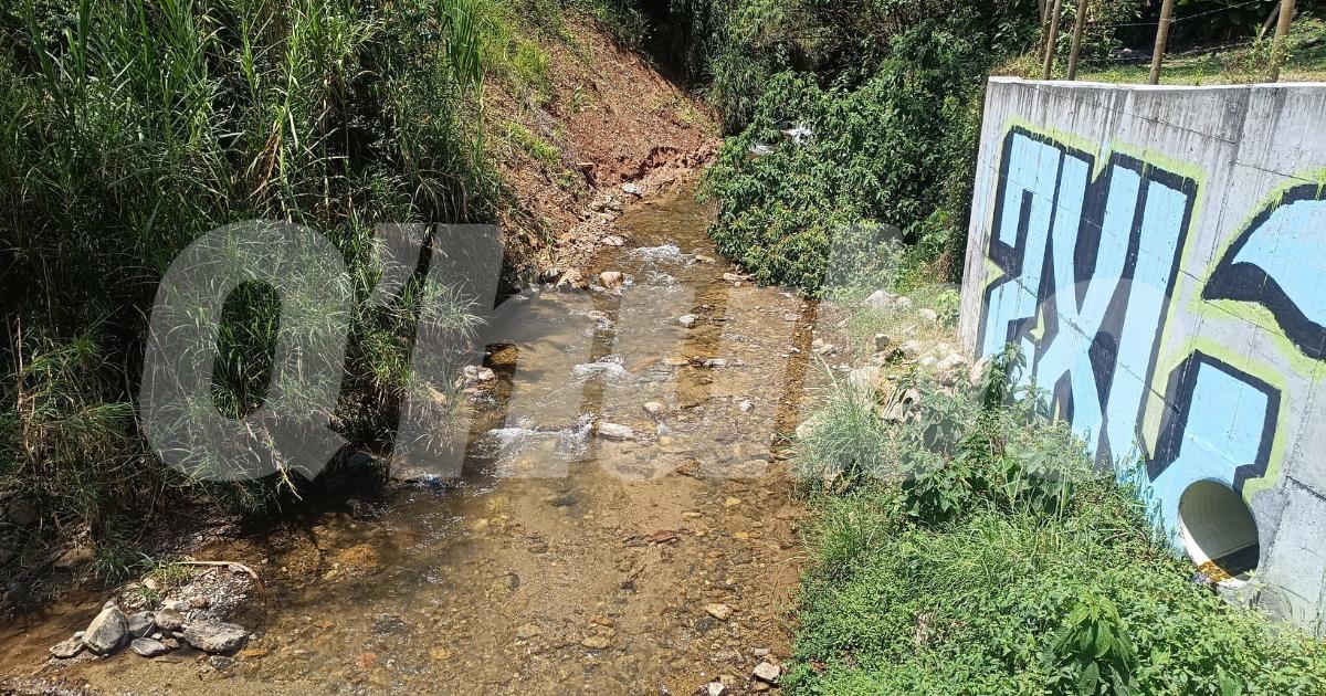 /FOTO: CRISTIAN VÁSQUEZ