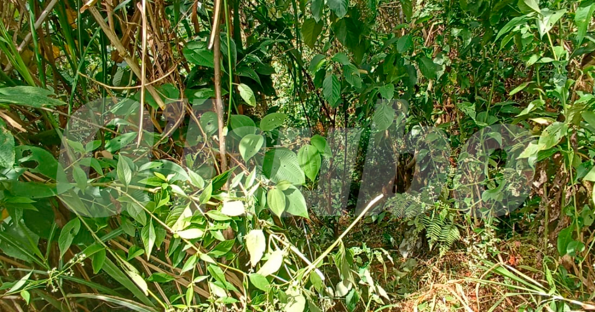 / FOTO: ALEJANDRA MORALES.