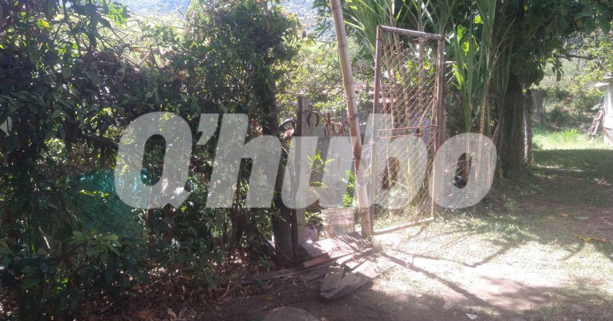 Por este portón se ingresa a la casa de la víctima. FOTO: GUILLERMO OSPINA
