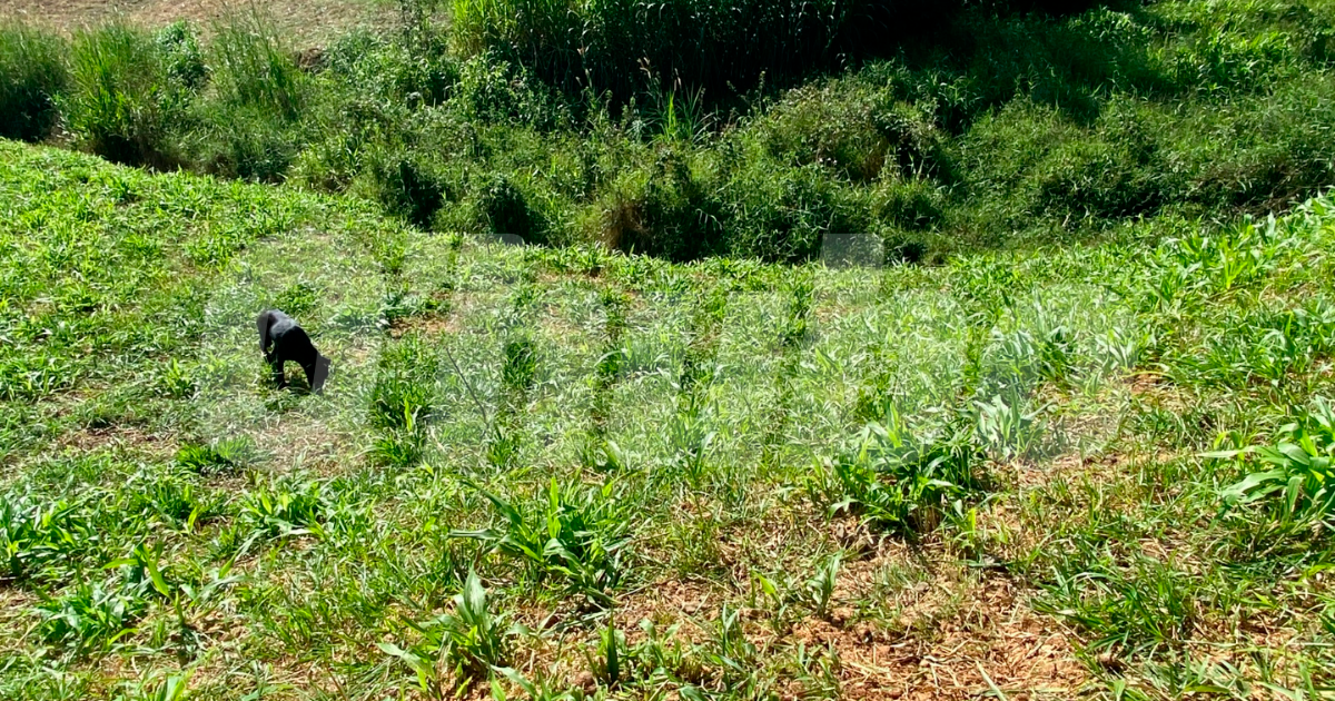 En este lugar fue hallado el cadáver de Jorge Augusto Atehortúa Jaramillo. /FOTO: ANDRÉS FELIPE OSORIO GARCÍA