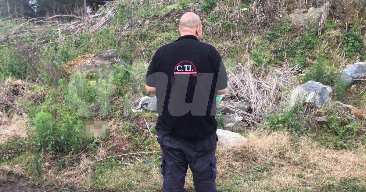 FOTO: LAURA ROSA JIMÉNEZ