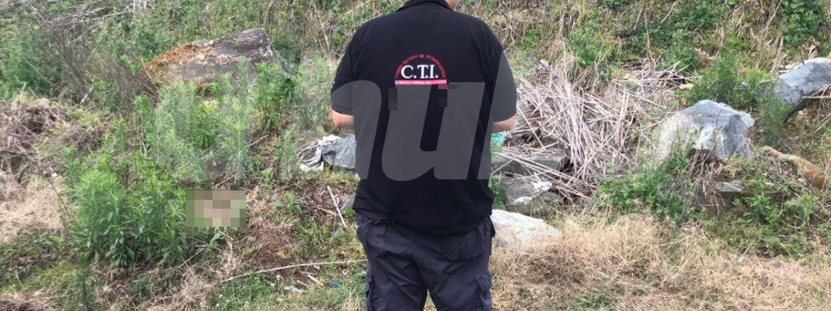 FOTO: LAURA ROSA JIMÉNEZ