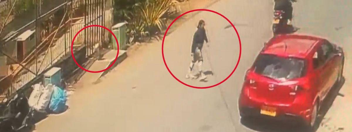 Este es el momento en que la mujer de camisa negra dejó abandonado el perrito y se subió al carro donde lo transportaba. FOTO: TOMA DE VIDEO