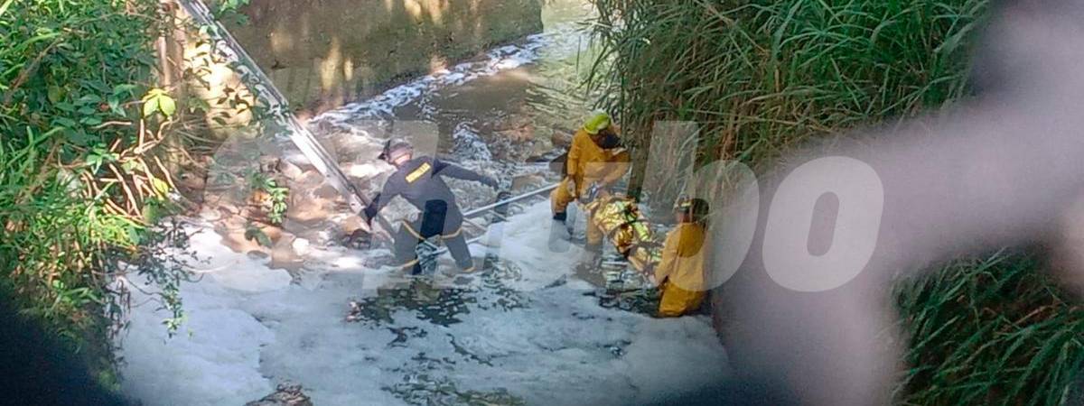 Lo rescataron en medio del agua. /FOTO: Q’HUBO