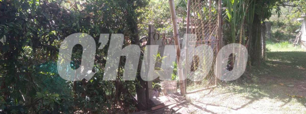 Por este portón se ingresa a la casa de la víctima. FOTO: GUILLERMO OSPINA