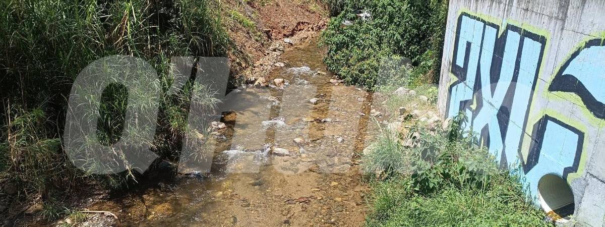 /FOTO: CRISTIAN VÁSQUEZ