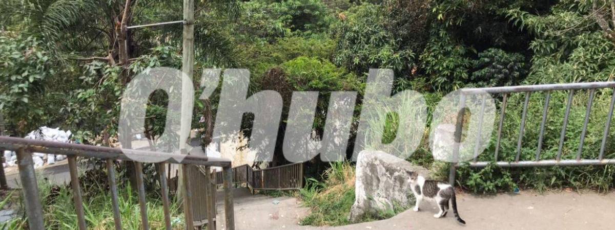 En estas escaleras del sector Cantarrana fue donde se registró la balacera entre militares y presuntos delincuentes. FOTO: LAURA ROSA JIMÉNEZ VALENCIA