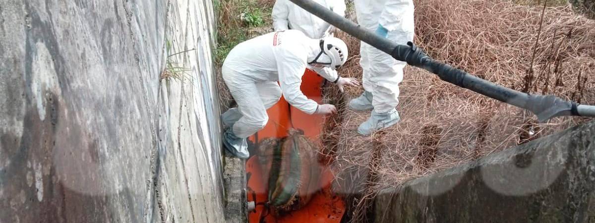 /FOTO: CORTESÍA BOMBEROS CALDAS 