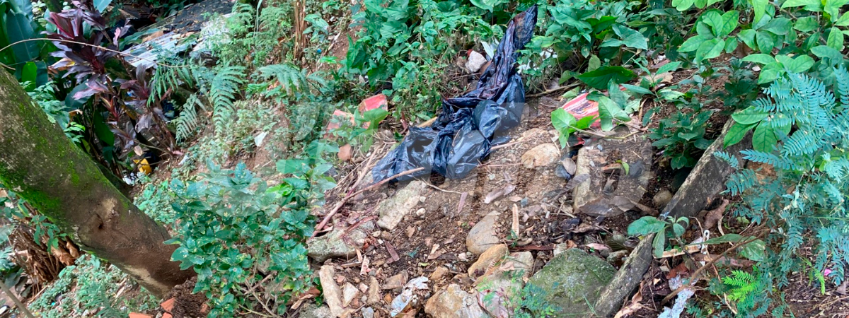 En este lugar arrojaron el cadáver. /FOTO: ANDRÉS FELIPE OSORIO GARCÍA