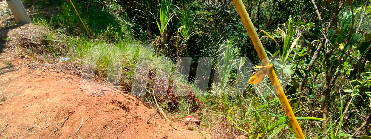 En este barranco de la vereda Encenillo, en Girardota, fueron hallados los 2 cadáveres. /FOTO: ANDRÉS FELIPE OSORIO GARCÍA