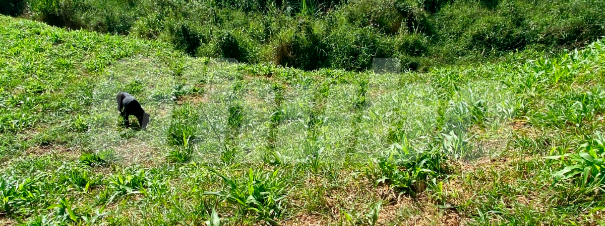 En este lugar fue hallado el cadáver de Jorge Augusto Atehortúa Jaramillo. /FOTO: ANDRÉS FELIPE OSORIO GARCÍA