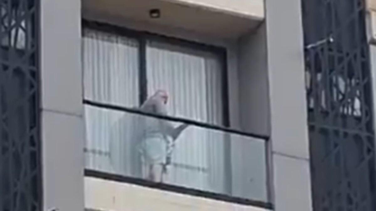 FOTO: CAPTURA DE VIDEO