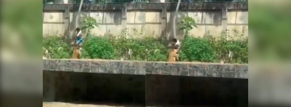 Hombre muere tras invadir el recinto de una leona en Brasil. FOTO: D.R.A 