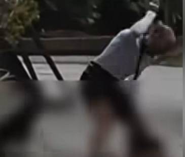 Caso de maltrato animal en Estadio. FOTO: DENUNCIAS ANTIOQUIA