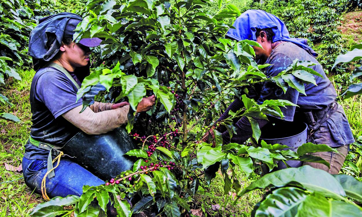 Gócese el puente festivo con estos parches, no se quede en la casa