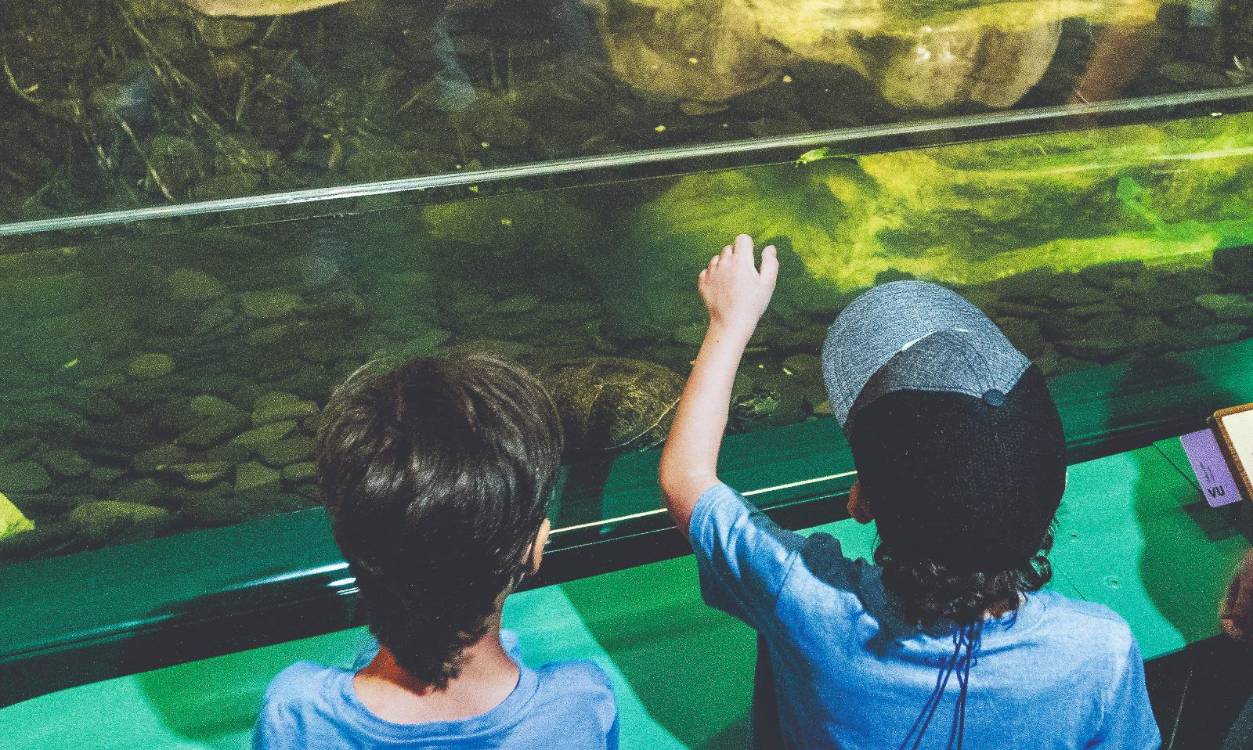 No se quede sin plan en la semana de receso