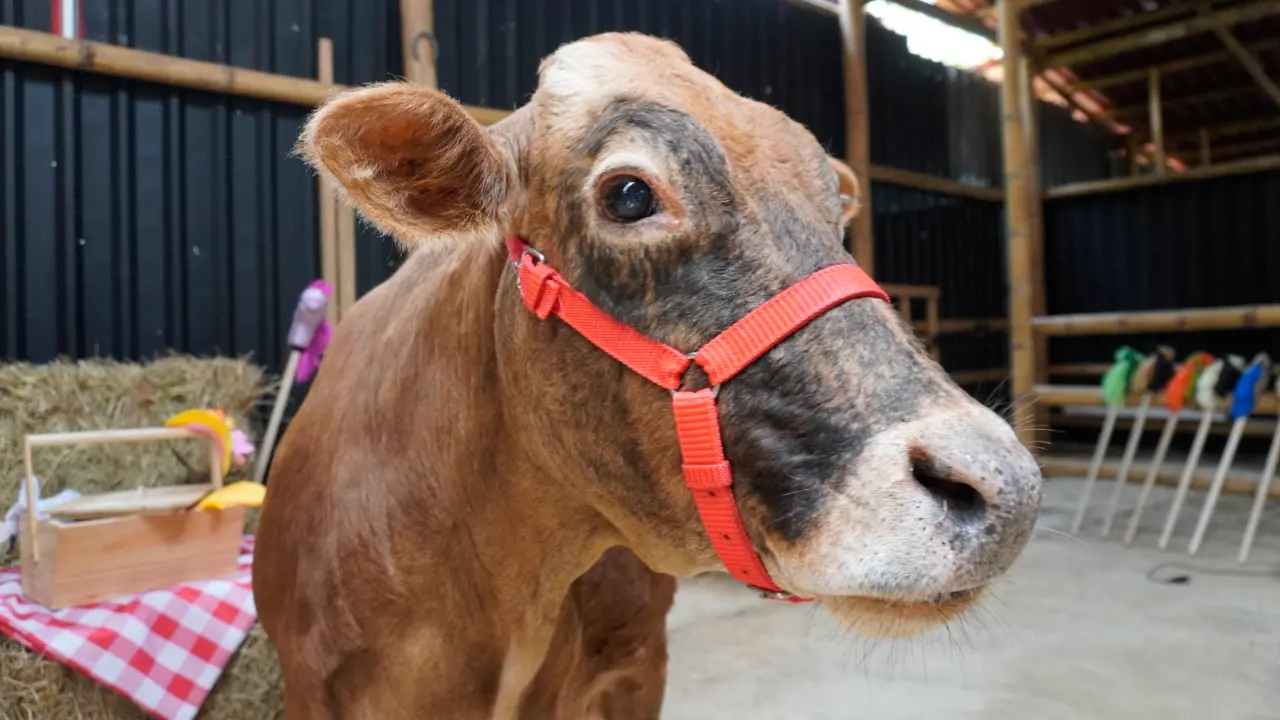 / FOTO: ALCALDÍA DE MEDELLÍN