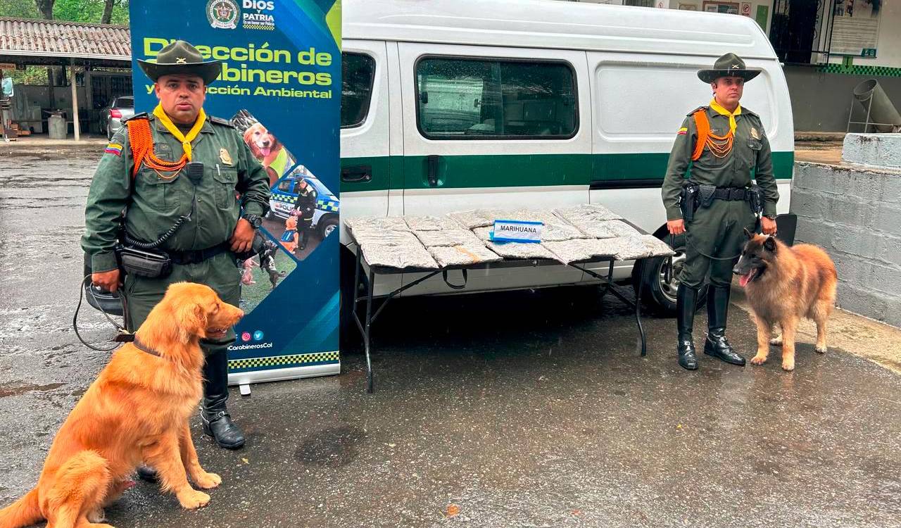 Hasta gomitas hechas de marihuana encontraron perros policía en varias empresas de mensajería