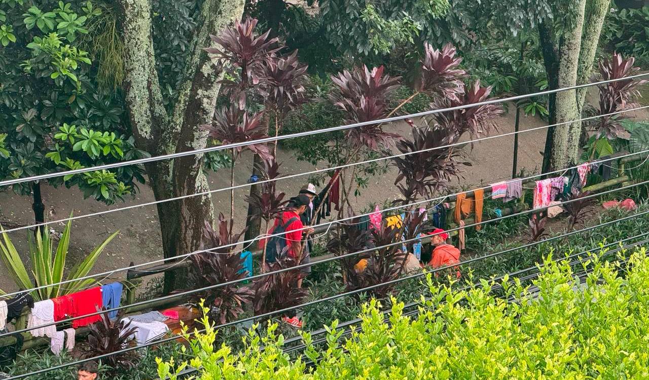 Relatan vecinos que cuando pasa la basura, rápidamente se desaparecen, pero poco después, regresan al sitio a seguir consumiendo. <b><span class=mln_small-caps_mln>/FOTO: CORTESÍA</span></b>