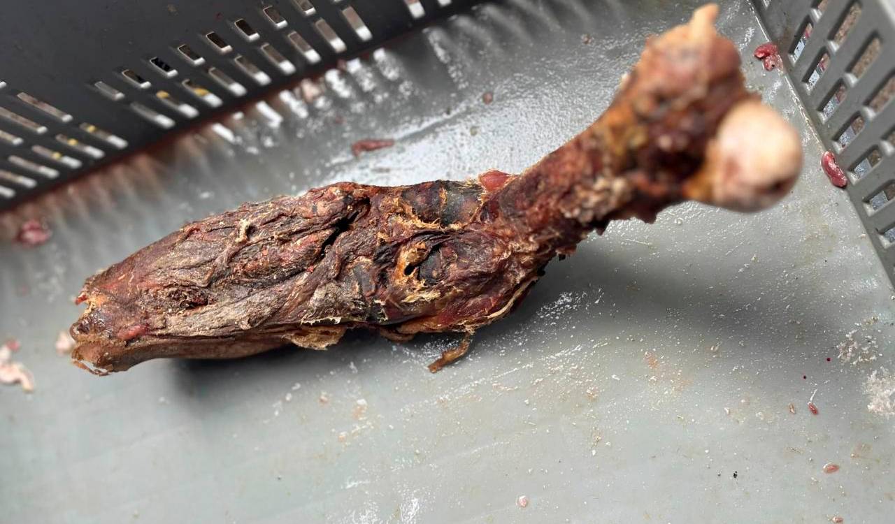 Carne decomisada por la Policía. /FOTO: CORTESÍA