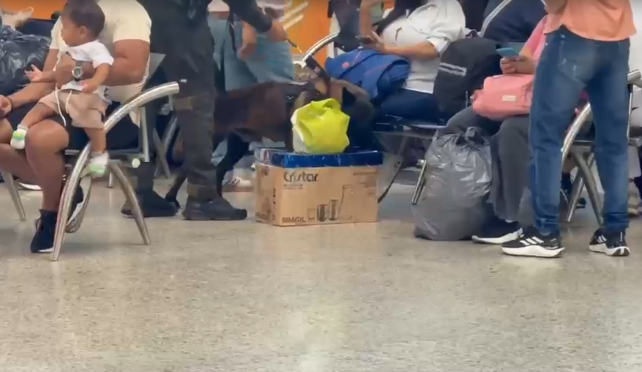 Momento en que el canino alerta sobre algo extraño dentro de la caja que llevaba el hombre. FOTO: TOMA DE VIDEO - POLICÍA METROPOLITANA
