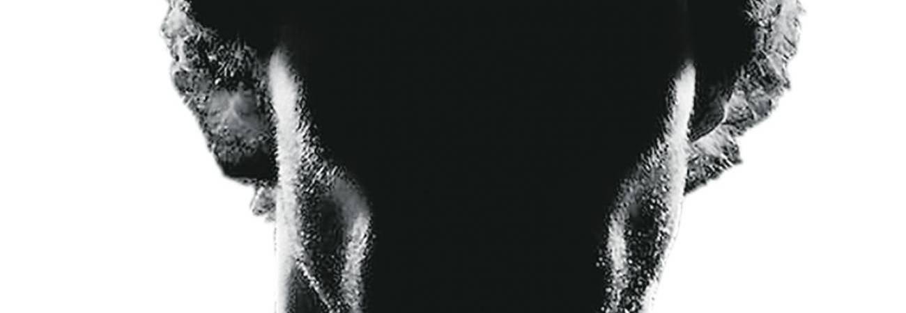 Estadounidenses que han muerto tras tener citas en Medellín; Embajada emitió alerta por las apps