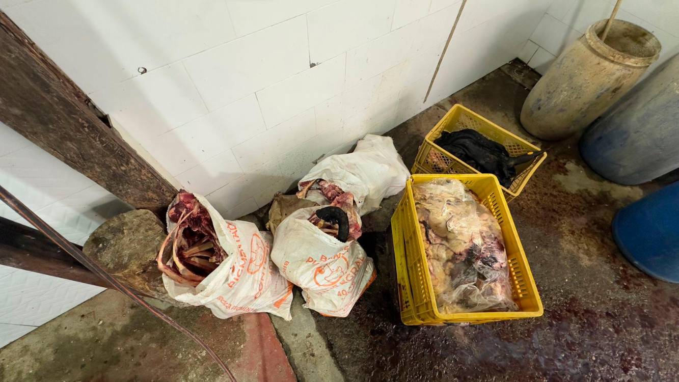 La carne era distribuida en diferentes establecimientos de Copacabana, Bello y Medellín sin importar que estuviera en mal estado. /FOTO: POLICÍA NACIONAL