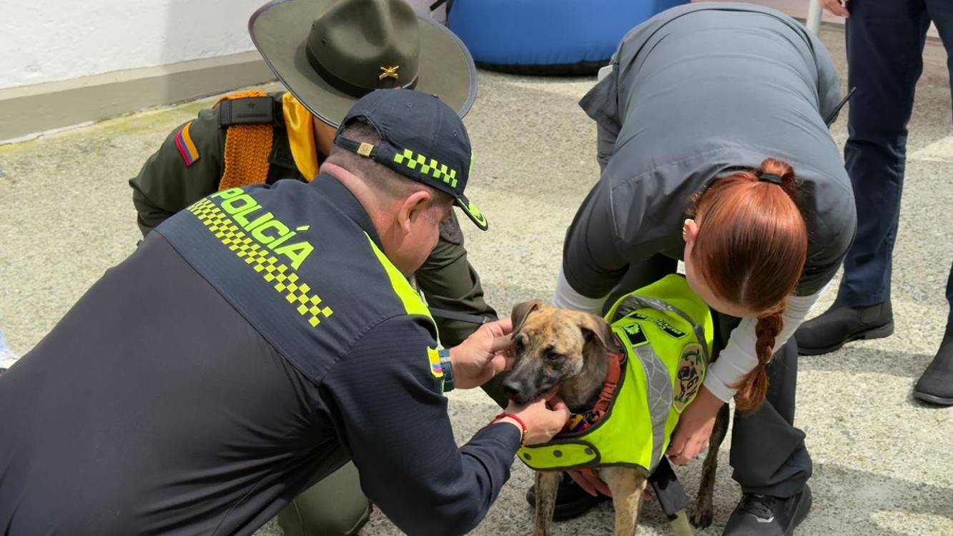 Momento en que el comandante recibía a su nueva mascota. FOTO: CORTESÍA POLIANTIOQUIA