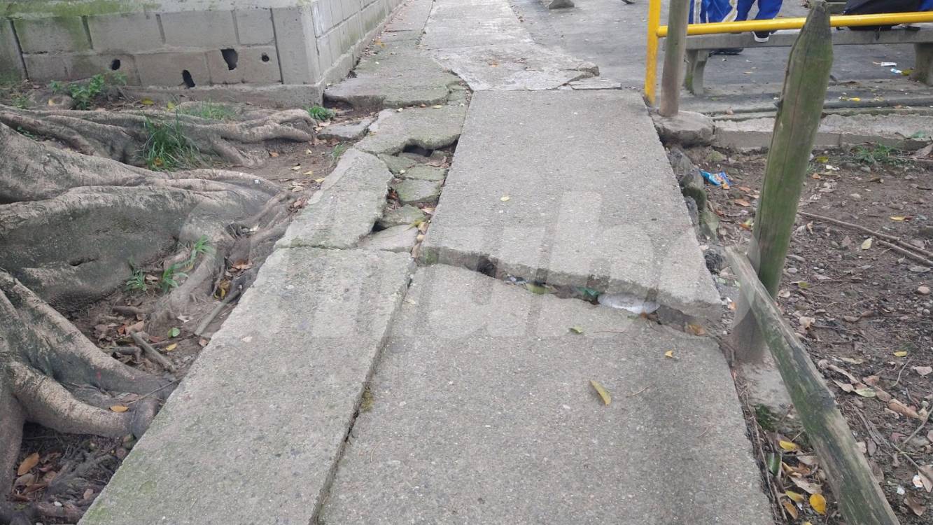 Hay que fijarse muy bien al caminar por las losas levantadas de este paso peatonal o al piso van a dar. FOTO: GUILLERMO LEÓN OSPINA MUÑOZ