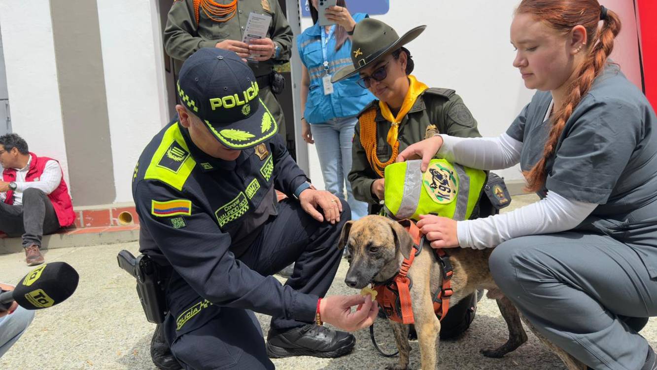 <span class=mln_uppercase_mln>El</span><b><span class=mln_uppercase_mln> perro quedó con secuelas físicas y mentales, pero podrá vivir una vida normal. FOTO: CORTESÍA POLICÍA ANTIOQUIA </span></b>