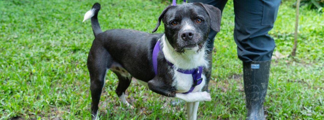 FOTO: ALCALDÍA DE MEDELLÍN