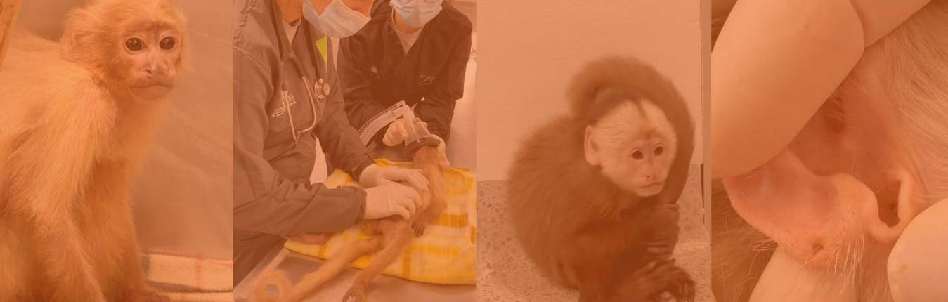 Imagen Actualidad (38)