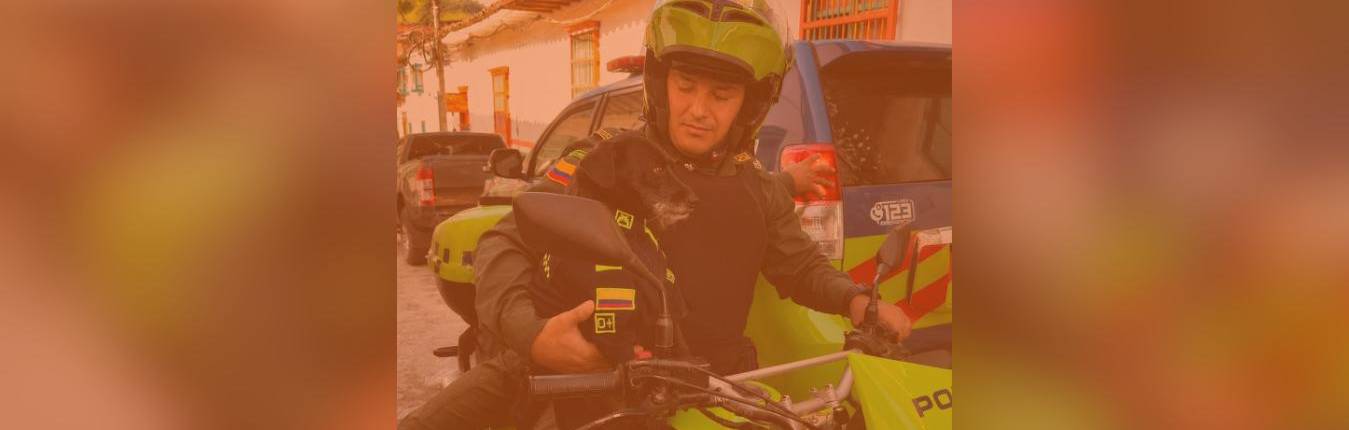 Imagen Actualidad - NO BORRAR