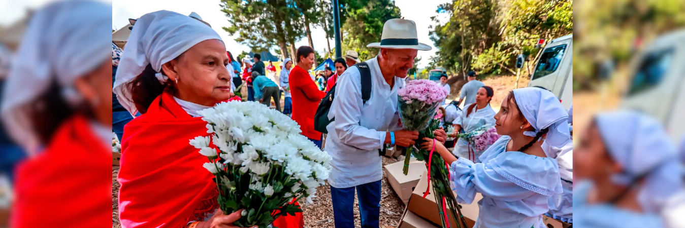 En Santa Elena se preparan para el Desfile de Silleteros. /FOTO: MANUEL SALDARRIAGA