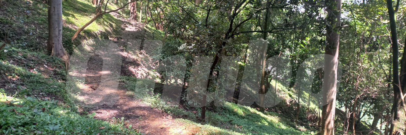 En este sector fue encontrado el cuerpo de la víctima. /FOTO: MAURICIO ANDRÉS PALACIO BETANCUR