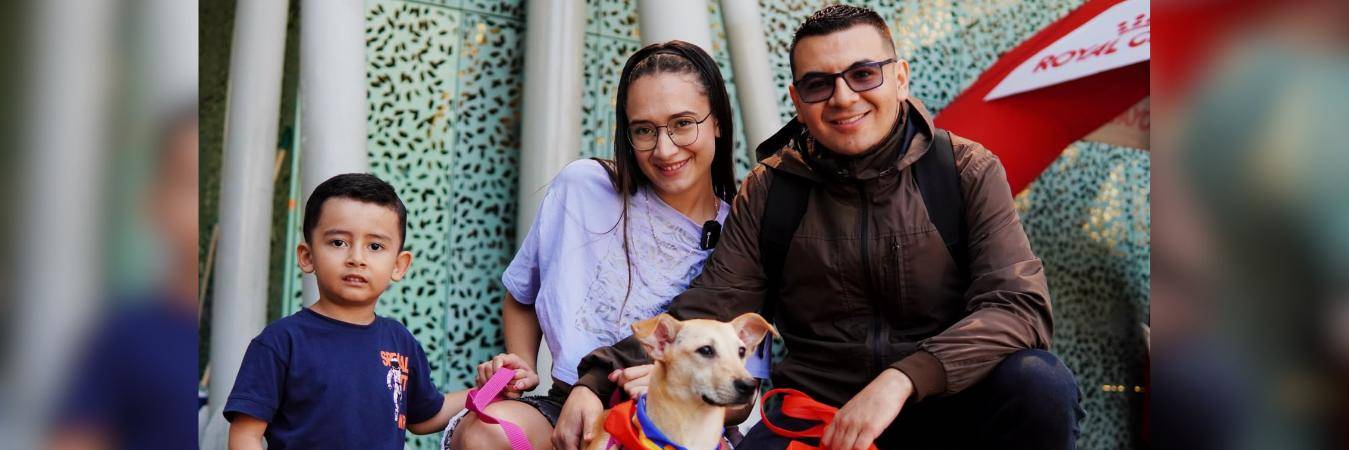 Son más de 80 animales los que están listos para adoptar. FOTO: ALCALDÍA DE MEDELLÍN 