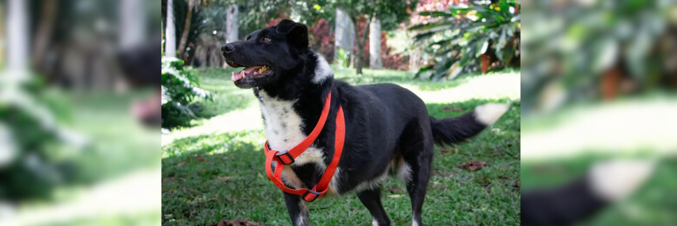 /FOTO: ALCALDÍA DE MEDELLÍN