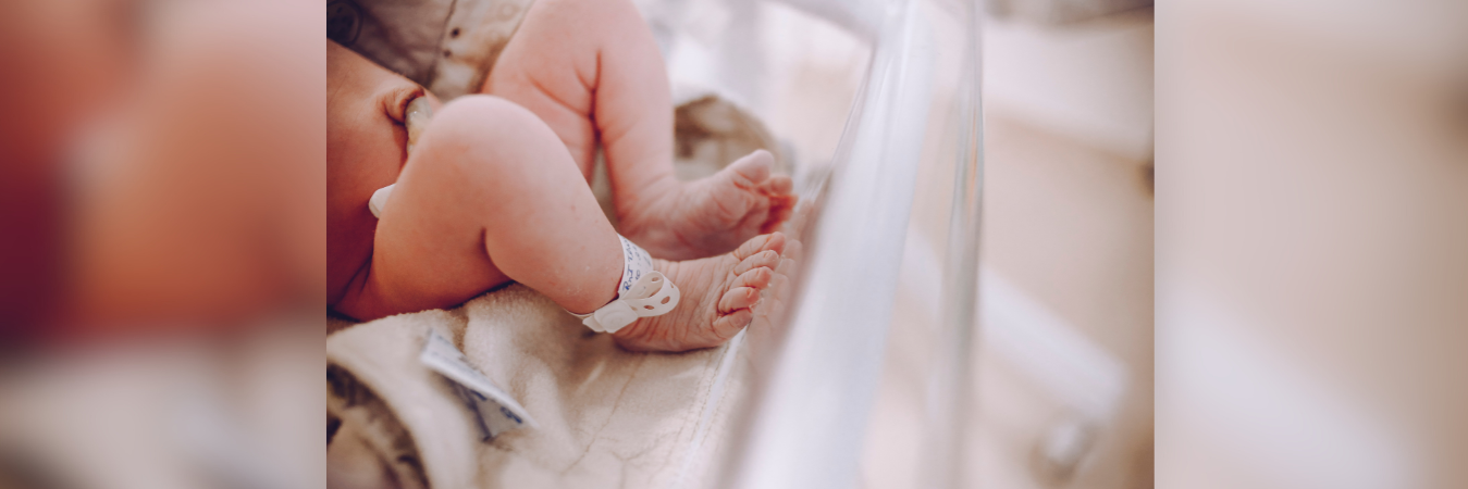 Imagen para ilustrar la nota. /FOTO: CANVA