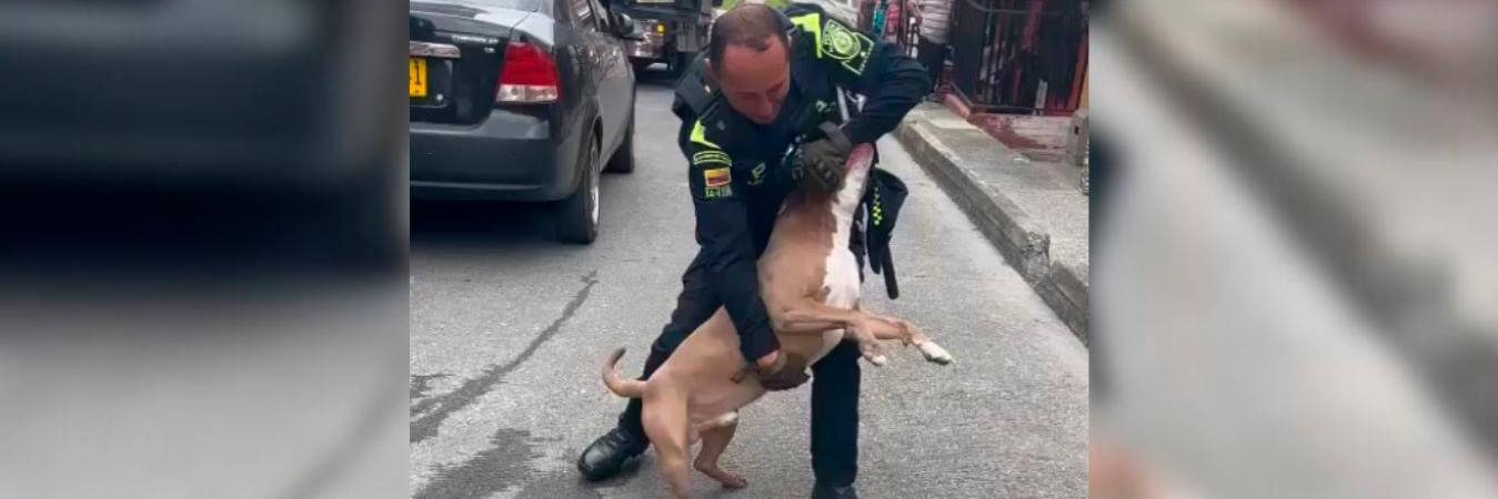 /FOTO: CAPTURA DE VIDEO-CORTESÍA DENUNCIAS ANTIOQUIA 