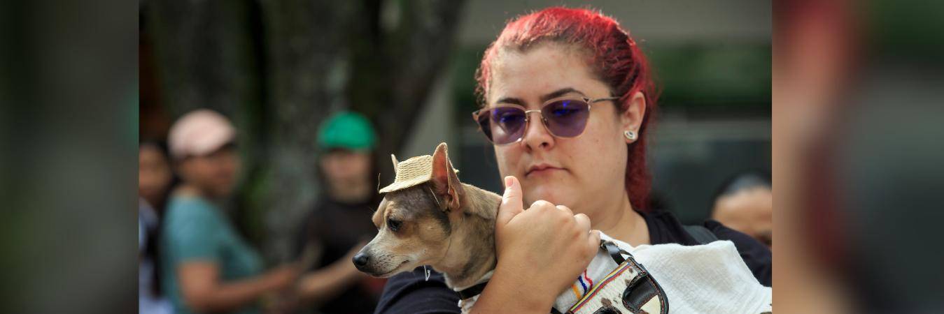 La carrera ‘Corre por los animales’ se realizará en Medellín. FOTO: CAMILO SUÁREZ