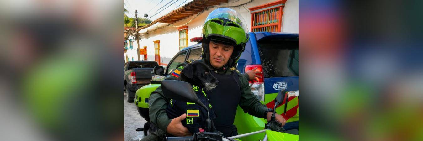 Él era Barbas, el perrito que acompañó a la policía en Concepción, Antioquia. FOTO: CORTESÍA