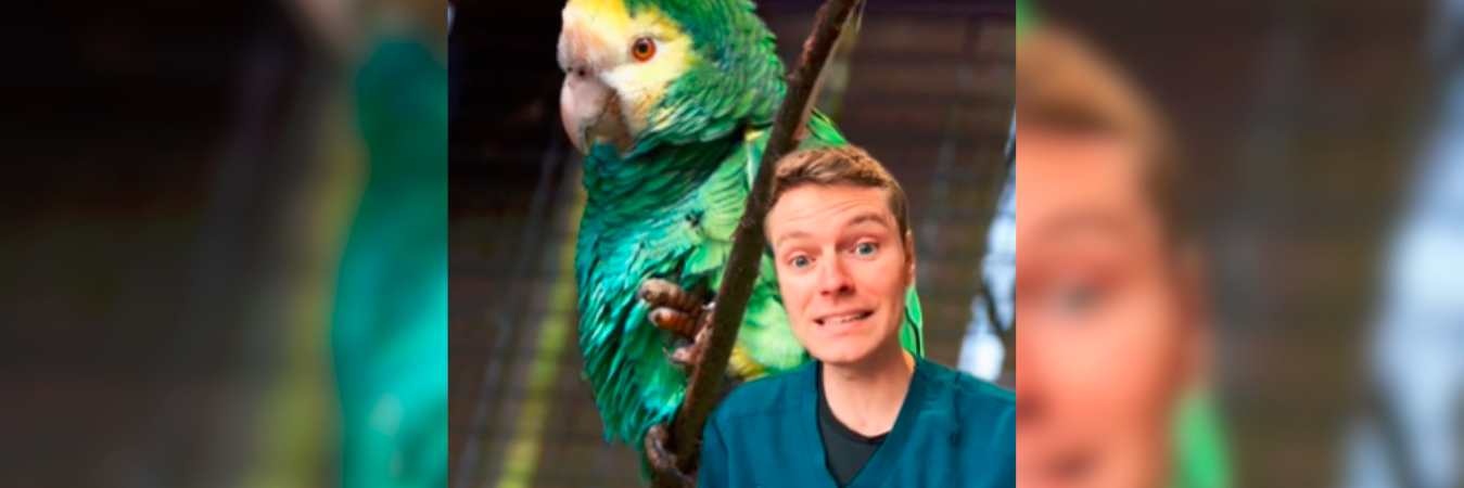 El veterinario enseña los mejores tips para el cuidado de las mascotas. / FOTO: CAPTURA DE PANTALLA