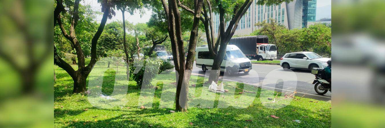 En esta zona de la autopista Sur encontraron muerto al habitante de calle. /FOTO: ANDRÉS FERNANDO GARCÍA HERNÁNDEZ 