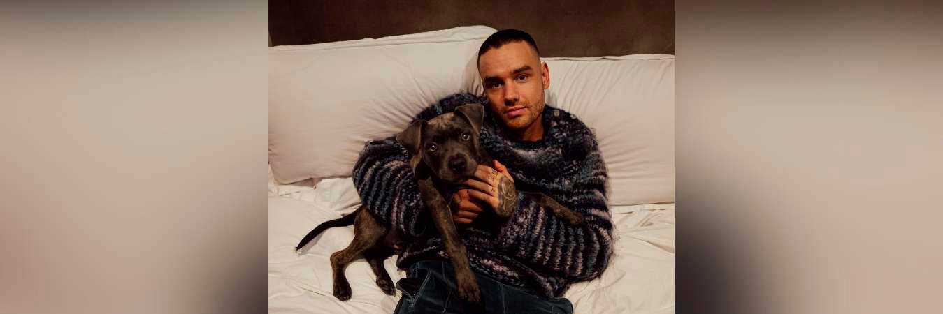 El artista estaba en Argentina porque vería el concierto de su antiguo compañero de One Direction, Nial Horan. / FOTO: @LIAMPAYNE