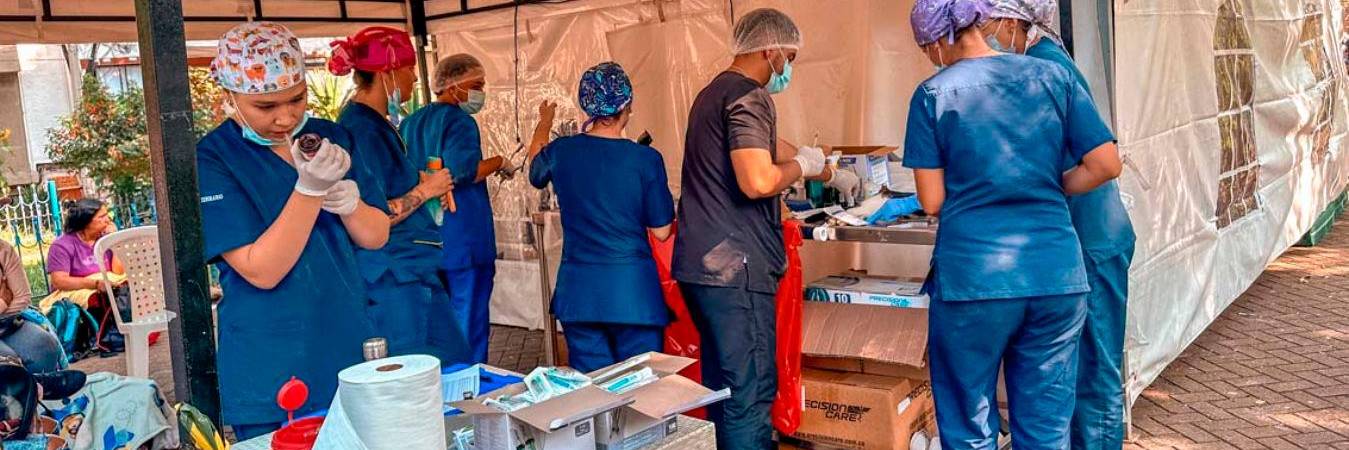 Para acceder a la esterilización de su mascota deberá agendar la cita. /FOTO: ALCALDÍA DE MEDELLÍN