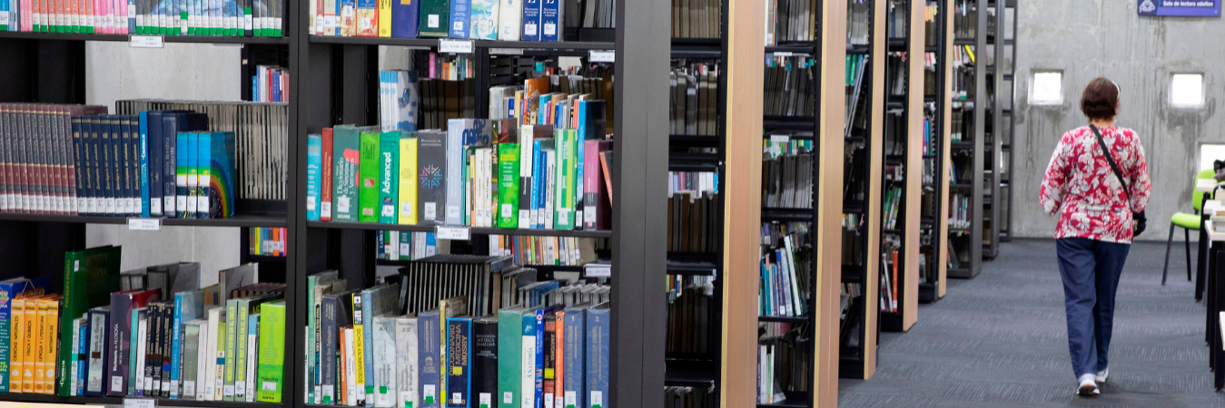 El video se grabó en la biblioteca de una institución educativa del corregimiento. / FOTO: ARCHIVO - IMAGEN DE REFERENCIA