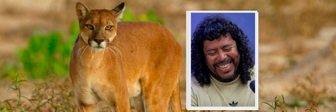 El exarquero escribió en redes sociales sobre el caso y la entidad departamental se encargó del hecho. / FOTO: CORANTIOQUIA Y ESNEYDER GUTIÉRREZ